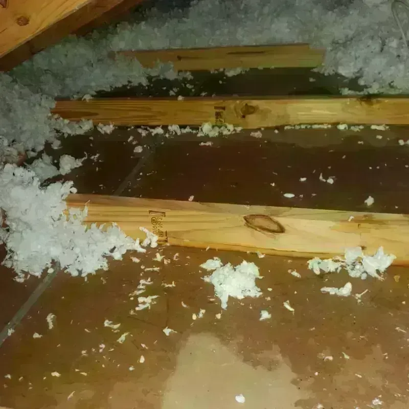 Attic Water Damage in Carson, ND