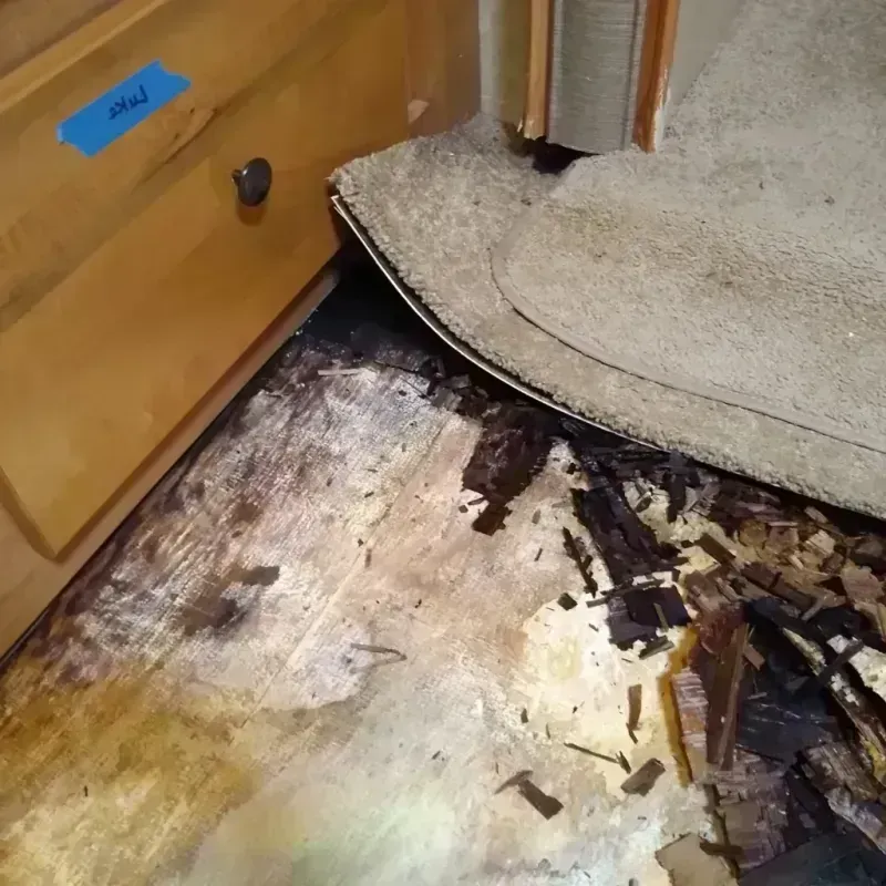 Wood Floor Water Damage in Carson, ND